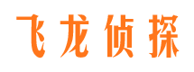 浉河飞龙私家侦探公司